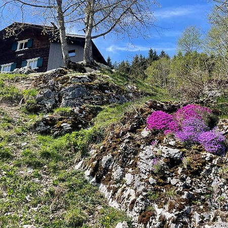 Alpenchalet Piz Huesli Tschagguns Bagian luar foto