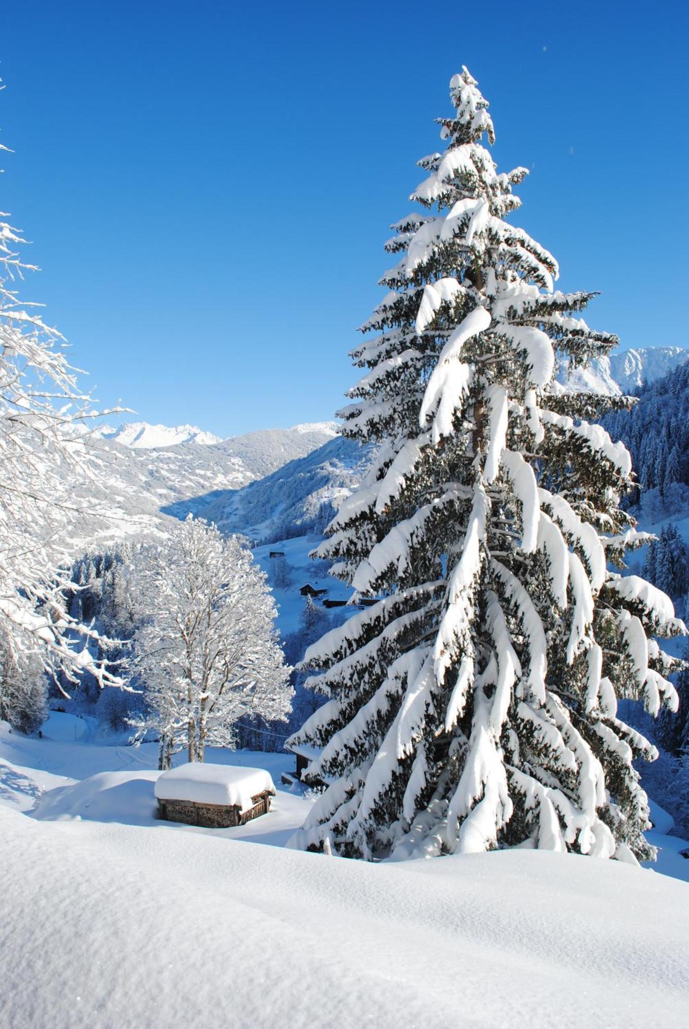 Alpenchalet Piz Huesli Tschagguns Bagian luar foto