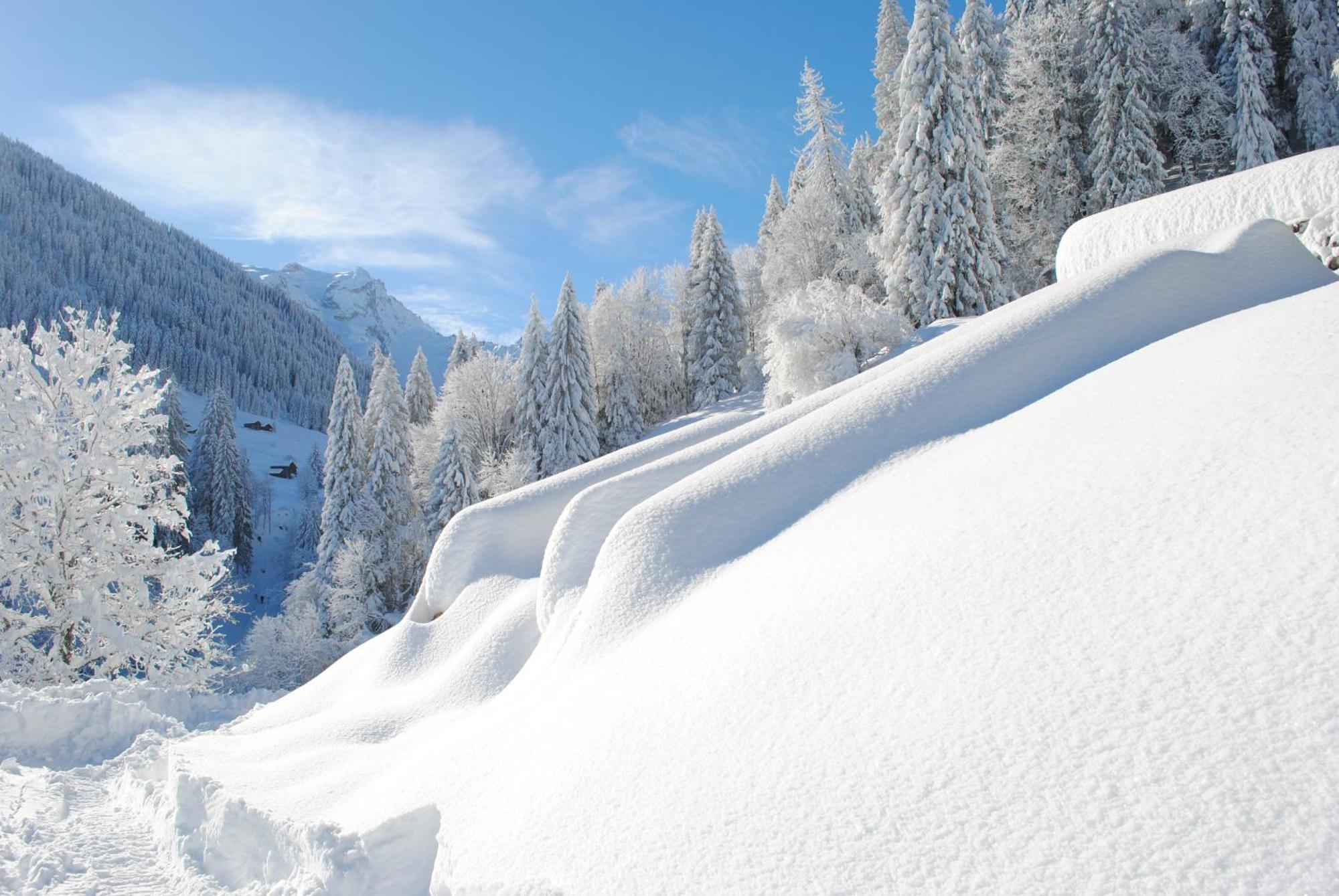 Alpenchalet Piz Huesli Tschagguns Bagian luar foto