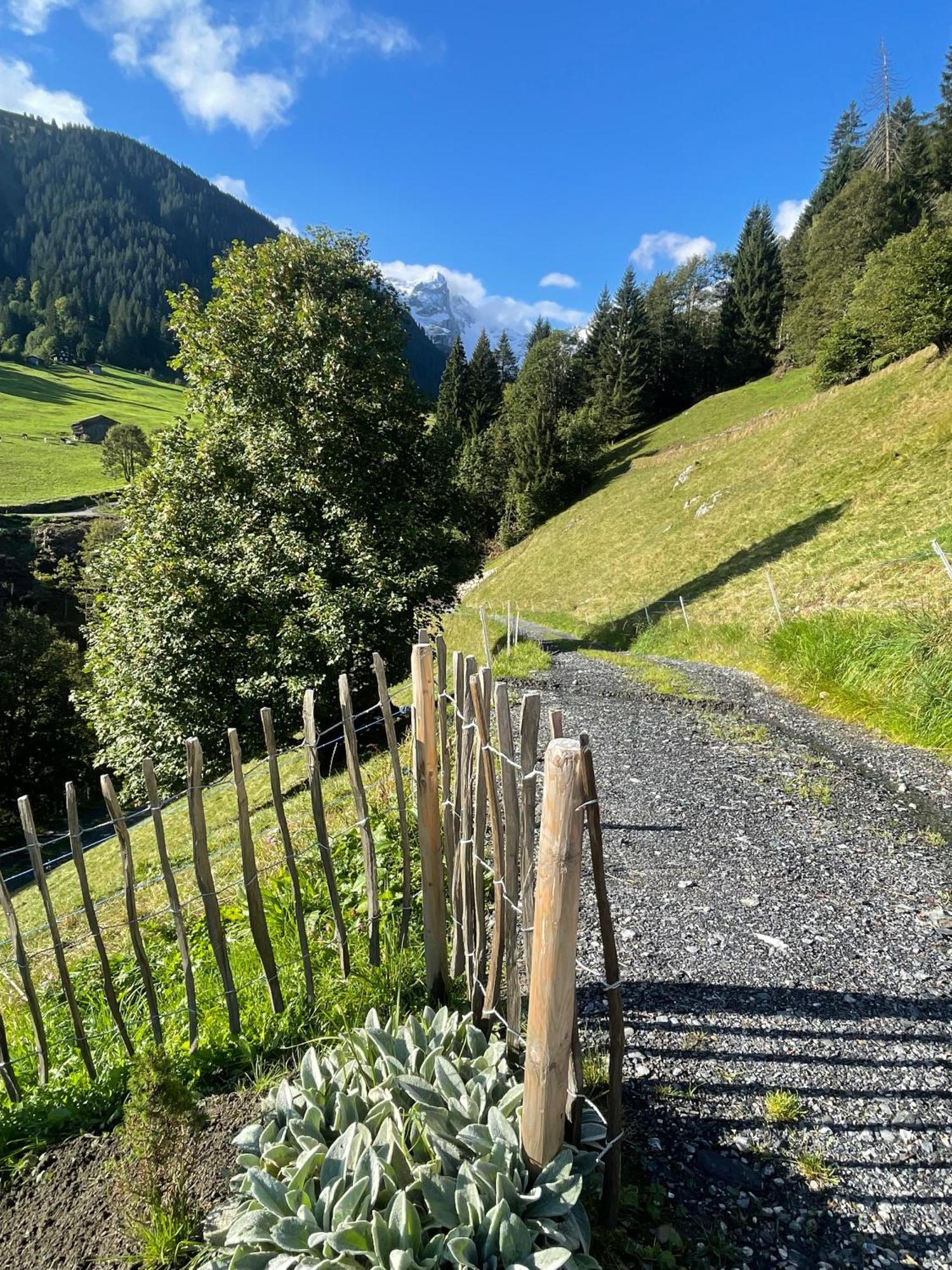 Alpenchalet Piz Huesli Tschagguns Bagian luar foto