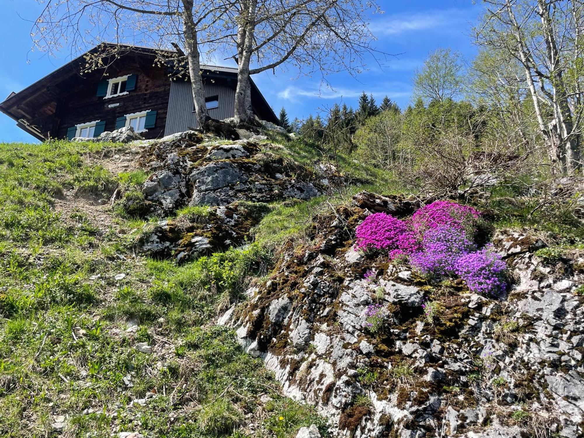 Alpenchalet Piz Huesli Tschagguns Bagian luar foto